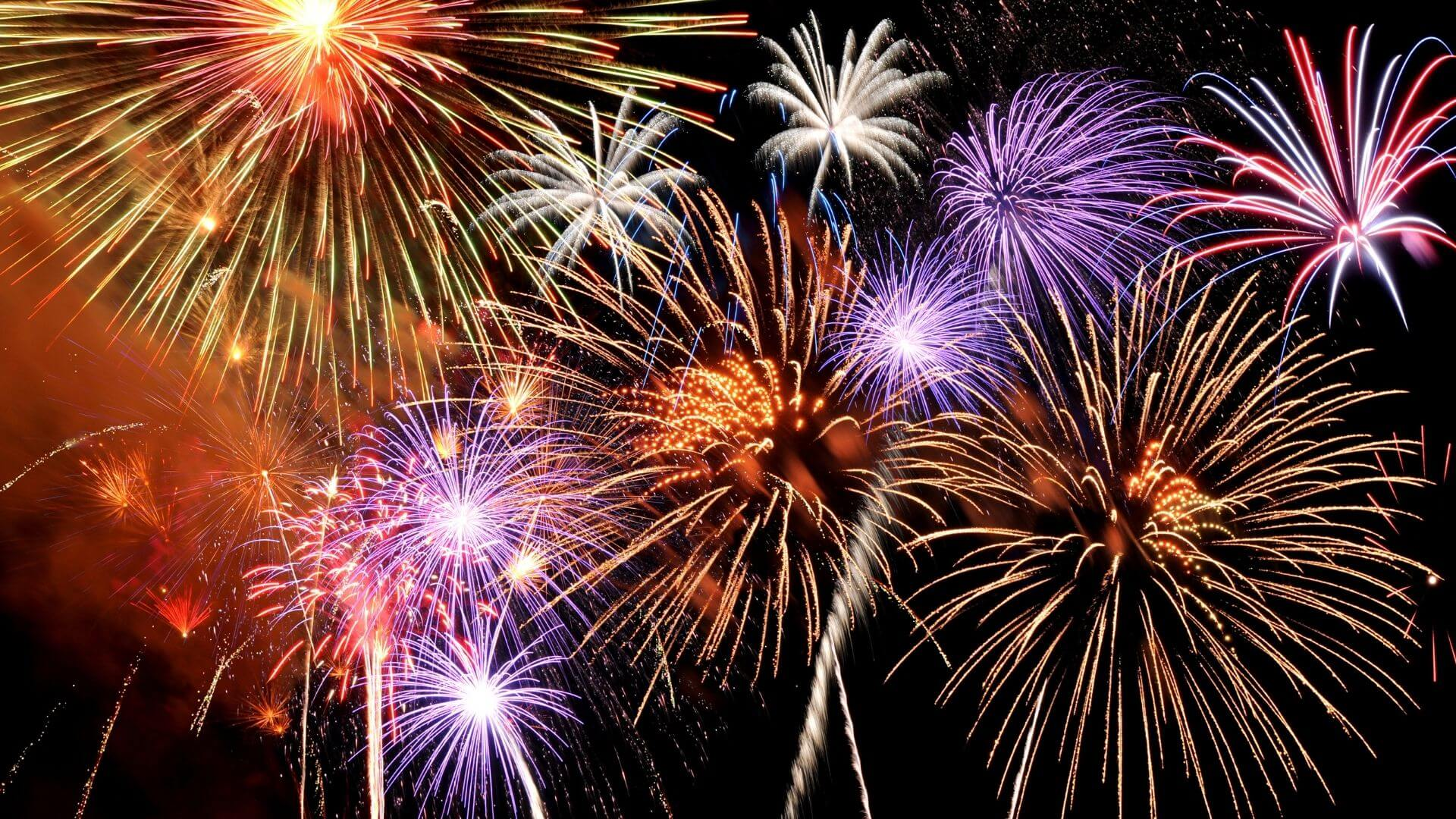 Upcoming Celebrations: Halloween, Diwali, Guy Fawkes, Christmas and New Year A Message for Northriding Resident’s as well as Pet Owners·
